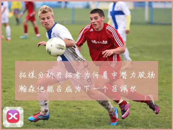 拓媒分析开拓者为何看中潜力股杨瀚森他能否成为下一个吕佩尔