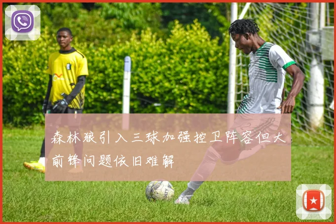 森林狼引入三球加强控卫阵容但大前锋问题依旧难解