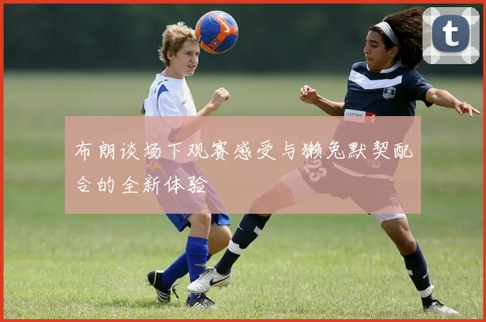 布朗谈场下观赛感受与獭兔默契配合的全新体验
